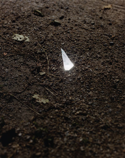 Gregory Halpern