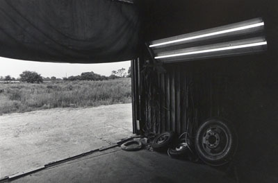 David Freund