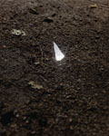Gregory Halpern
